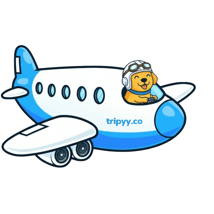 Tripyy dog-pilot plane